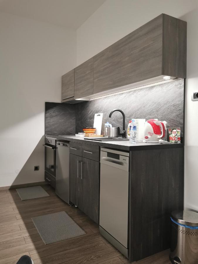 Apartman Pavlovic 1 Dedinje 외부 사진